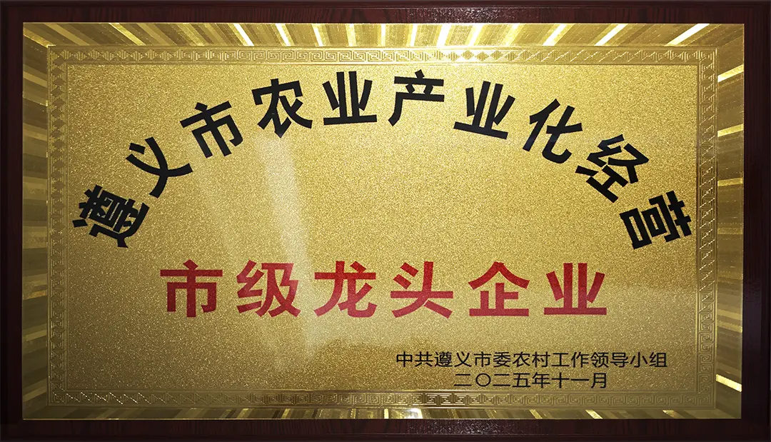 市级龙头企业